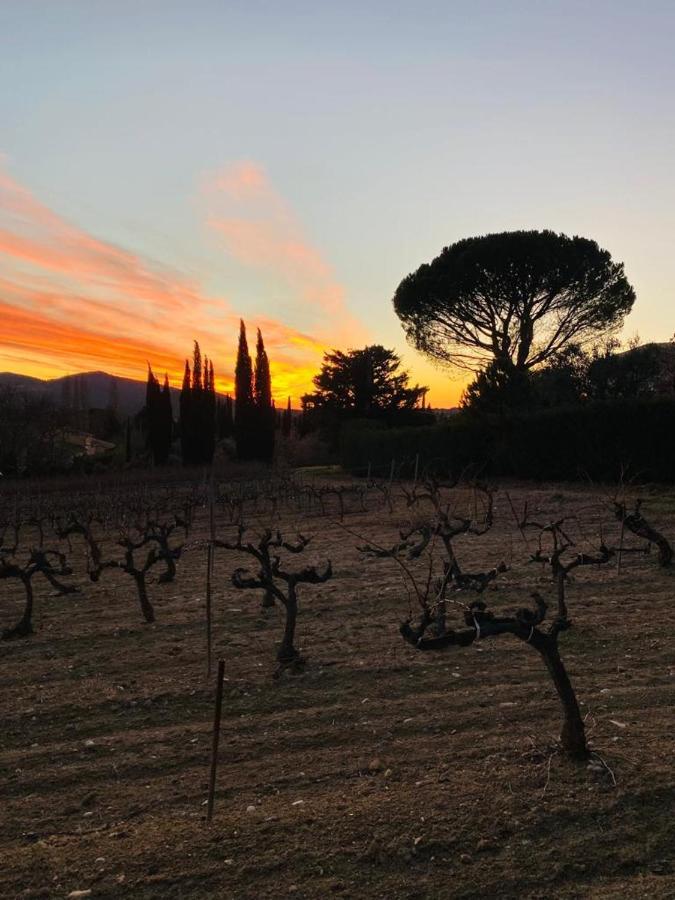 Au Villadior - Vaison La Romaine Екстер'єр фото